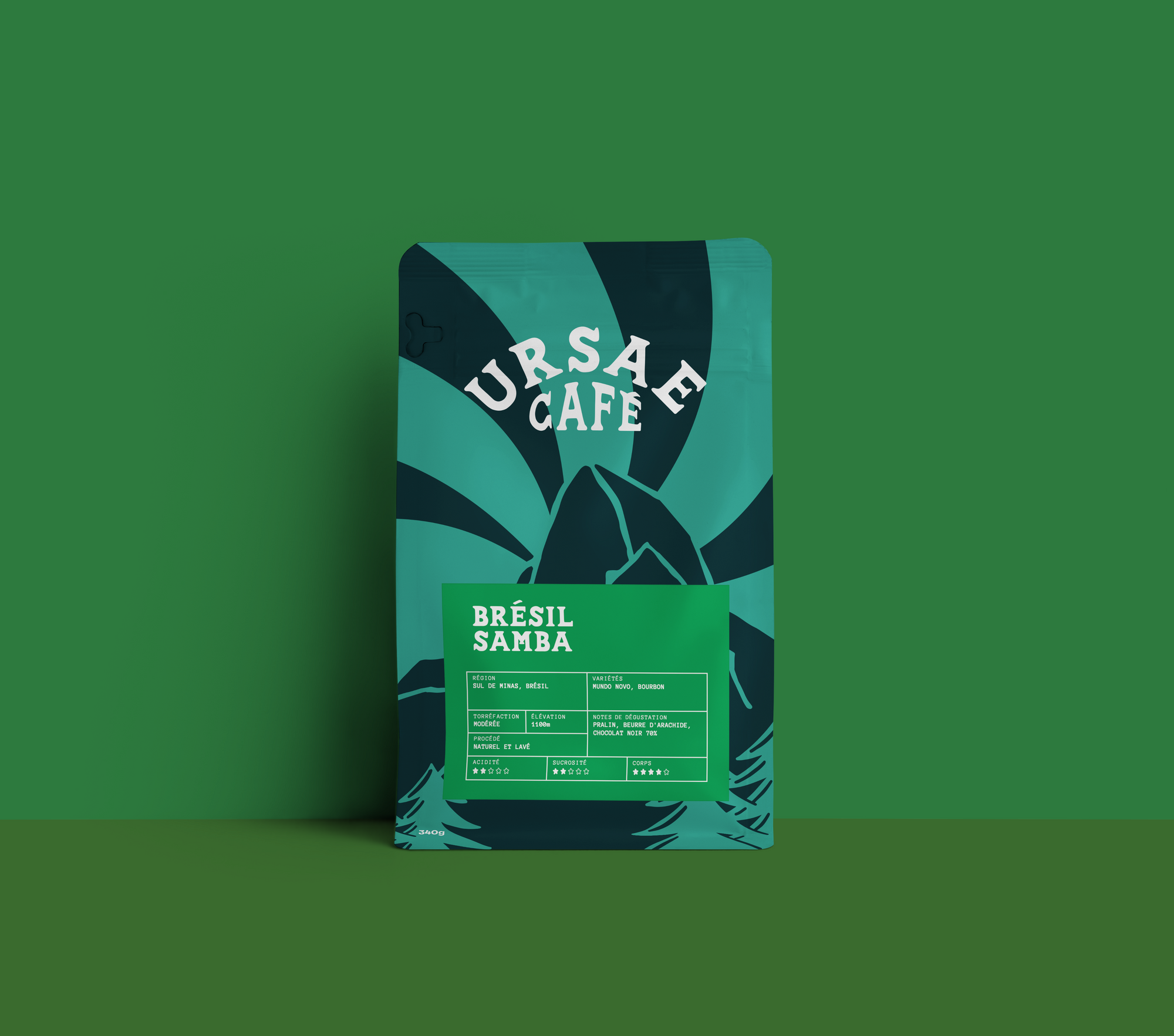 Brésil Samba