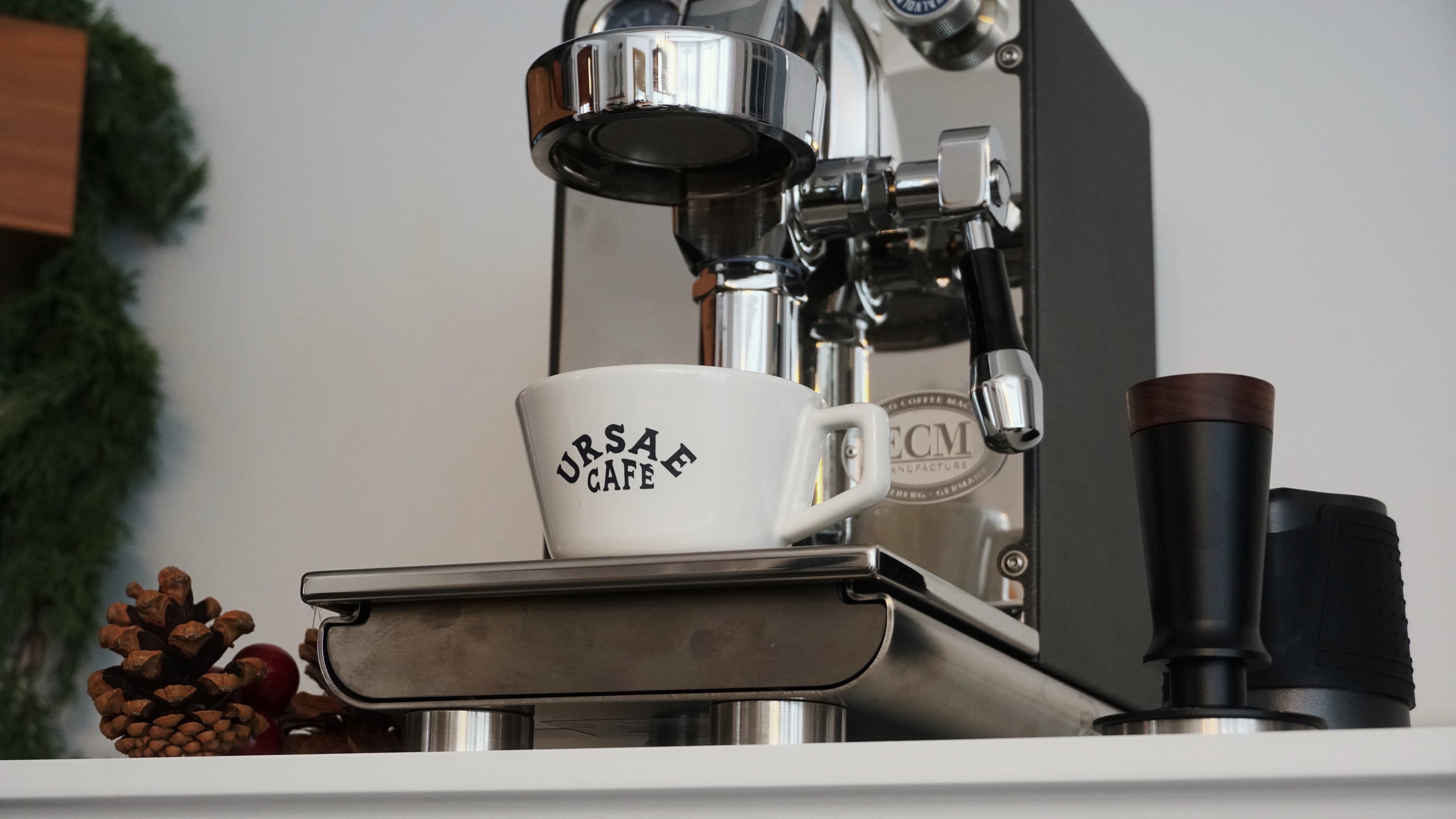 Ursae - Alpine Cup with Saucer